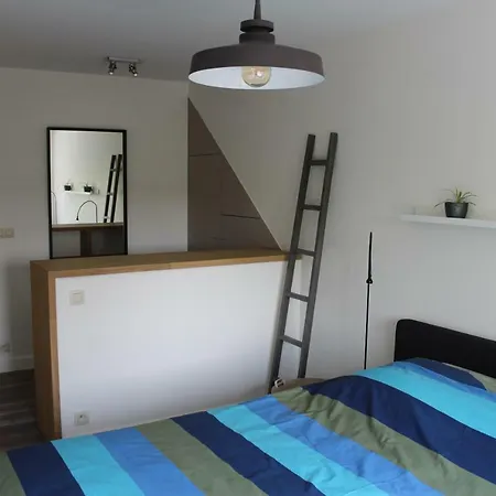 Bed And Garden